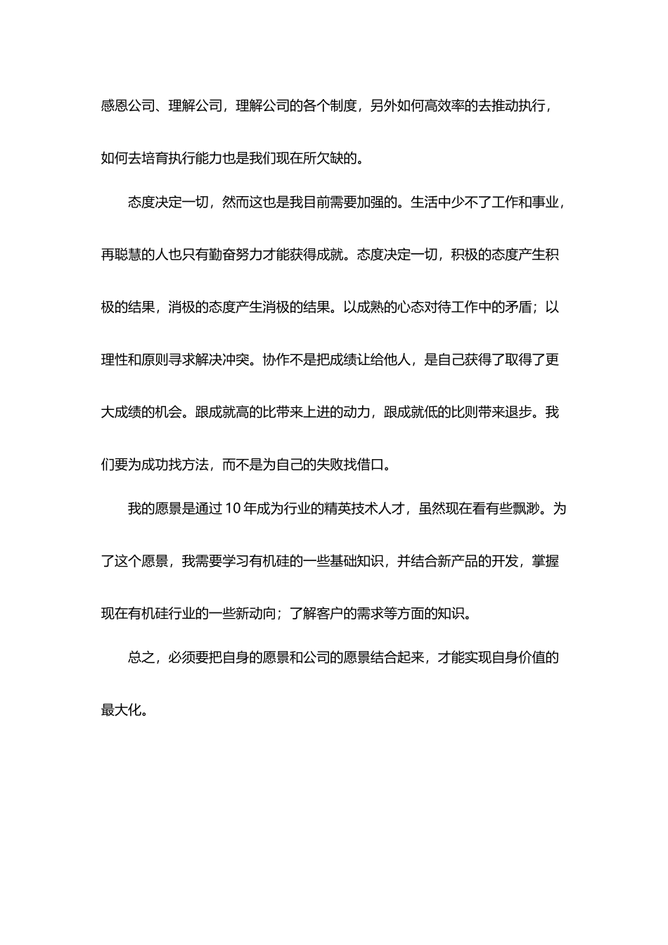 公司愿景学习体会_第3页