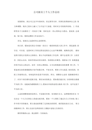 公司新员工个人工作总结