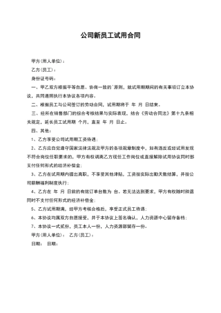 公司新员工试用合同