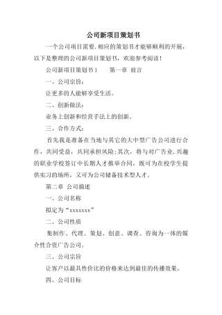 公司新项目策划书