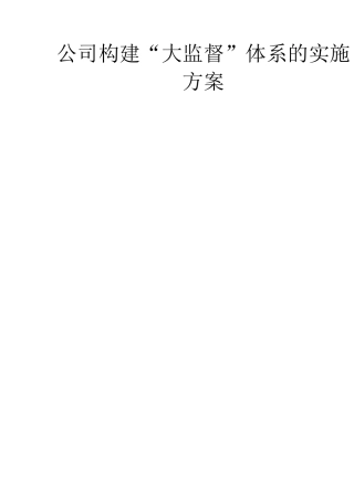 公司构建“大监督”体系的实施方案