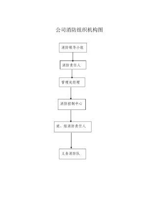 公司消防组织机构图
