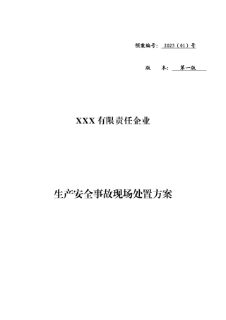 公司生产安全事故现场处置方案