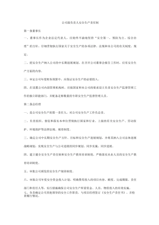 公司级负责人安全生产责任制