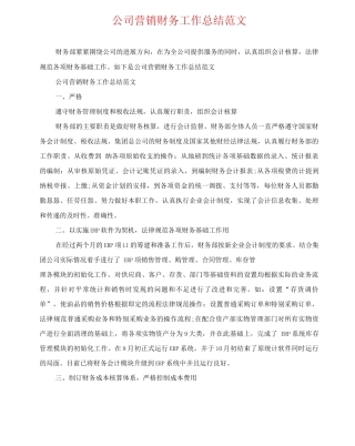 公司营销财务工作总结范文