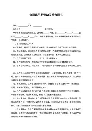 公司试用期劳动关系合同书