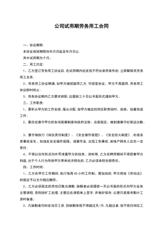 公司试用期劳务用工合同