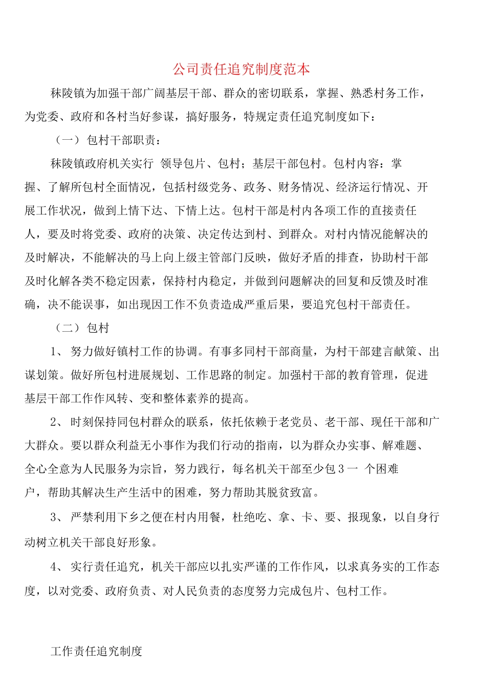 公司责任追究制度_第1页