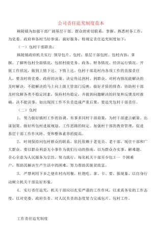 公司责任追究制度