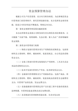 公司资金预算管理办法