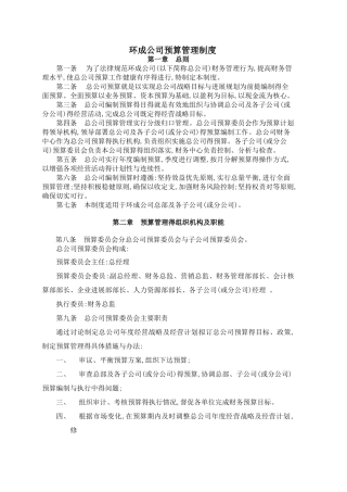 公司预算管理制度