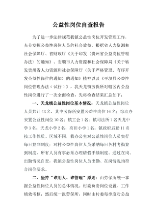 公益性岗位自查报告