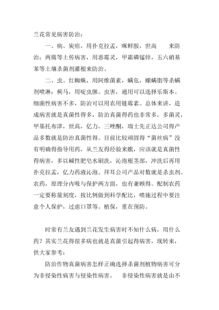 兰花常见病害的防治