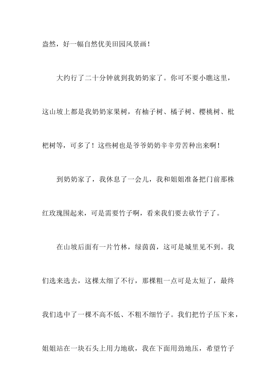 关于乡村趣事作文_第2页