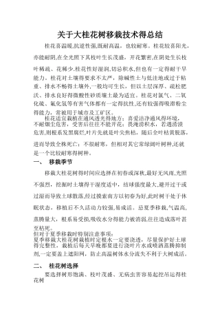 关于大桂花树移栽技术的总结