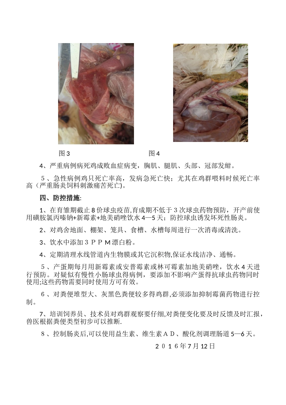 关于种鸡坏死性肠炎防控_第3页