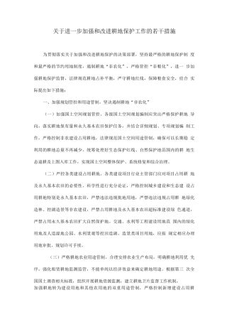 关于进一步加强和改进耕地保护工作的若干措施