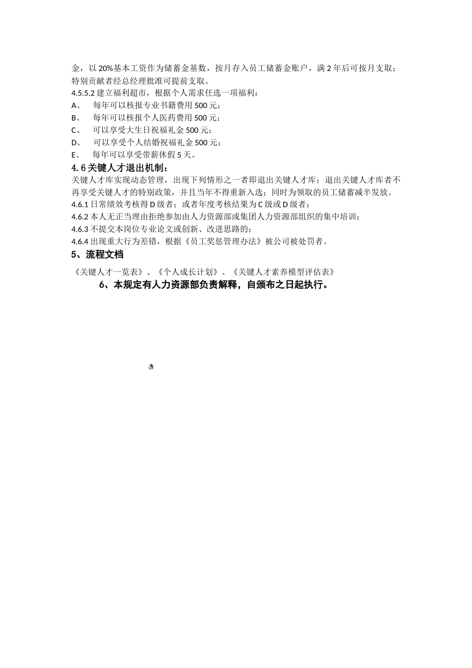 关键人才管理办法_第3页