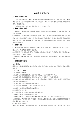 关键人才管理办法