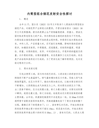 内筒型组合烟花发射安全性探讨