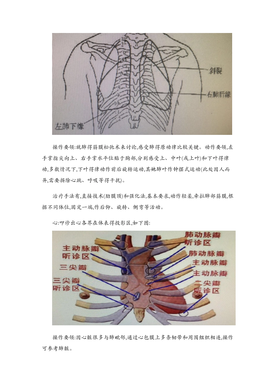 内脏筋膜学习总结1_第3页