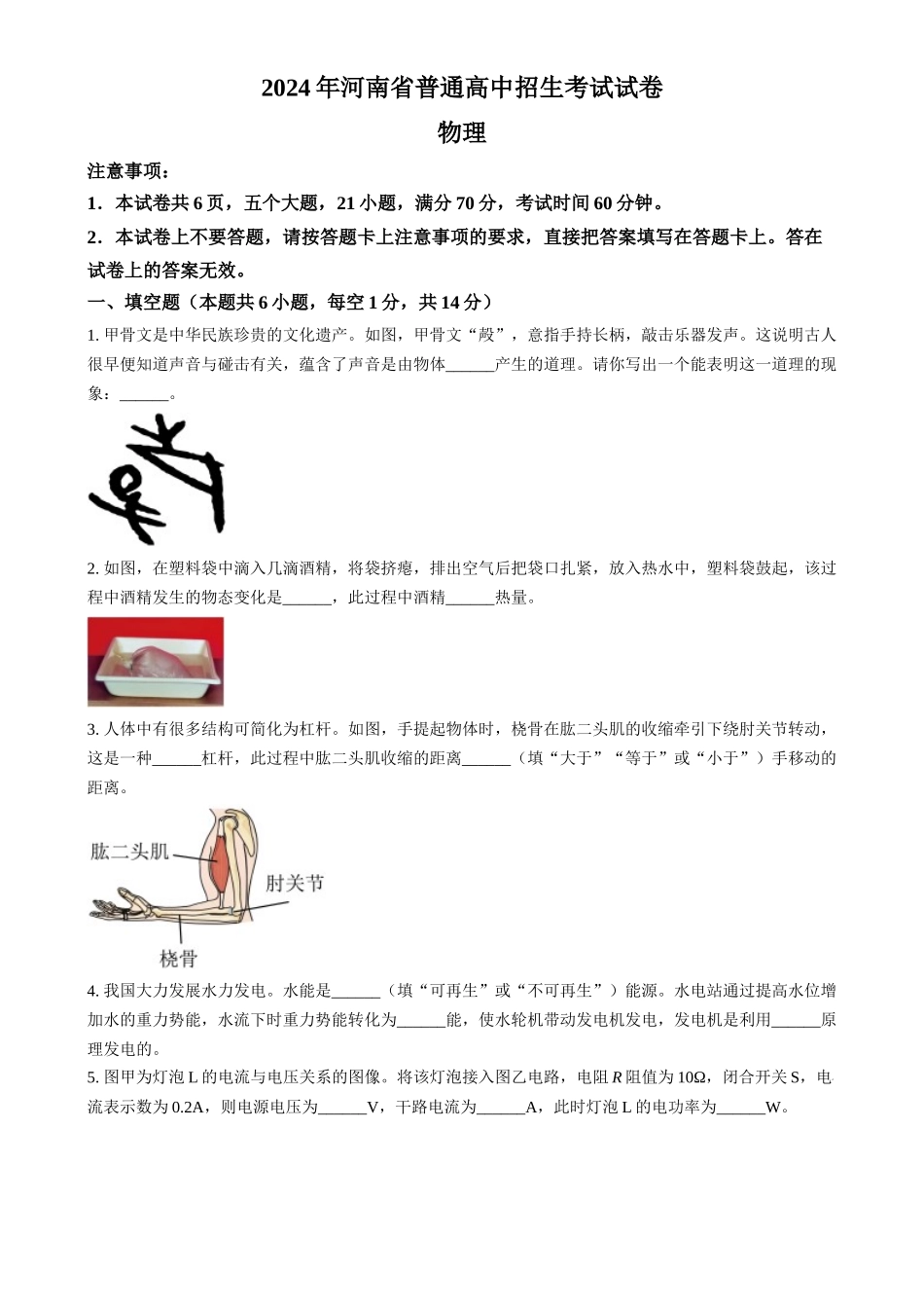 2024年河南省中考物理真题（原卷版）_第1页