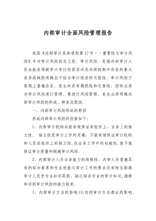 内部审计全面风险管理报告