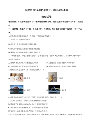 2024年甘肃省武威市临夏州中考物理真题（原卷版）