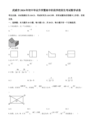 2024年甘肃省武威市中考数学真题（原卷版）