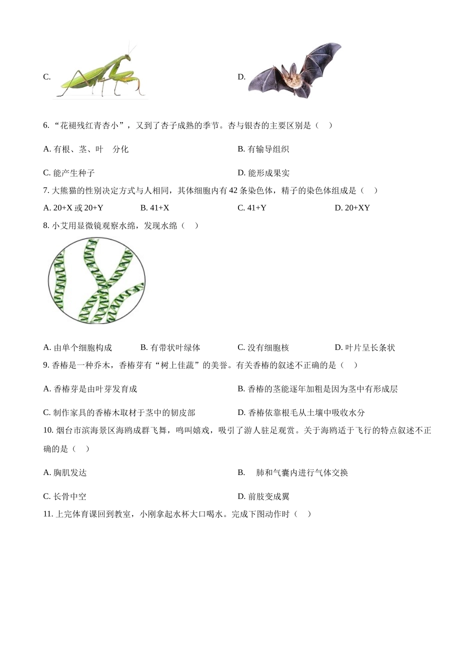 2024年山东省烟台市中考生物真题（原卷版）_第2页