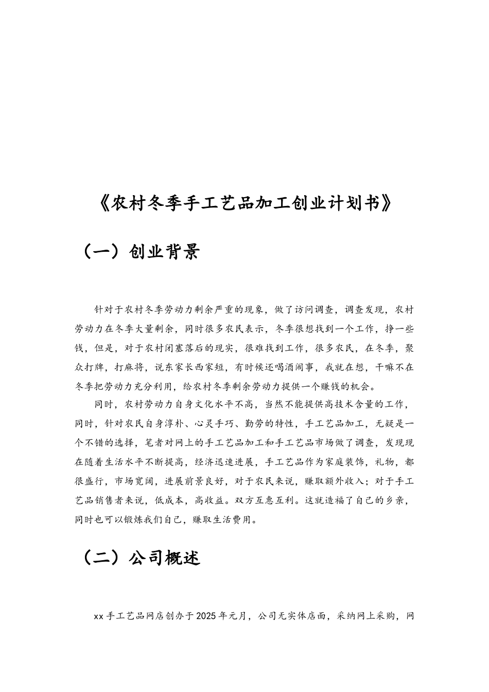 农村冬季手工艺品加工创业计划书_第3页