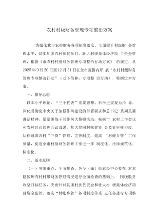 农村村级财务管理专项整治方案