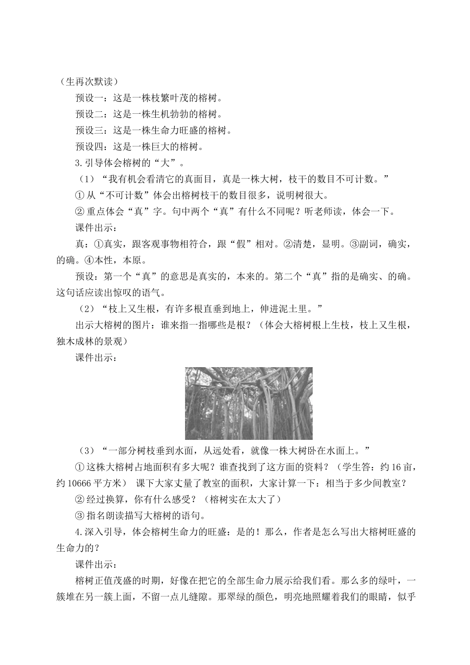 24统编版小学语文五年级上册第七单元22 鸟的天堂【教案】_第3页