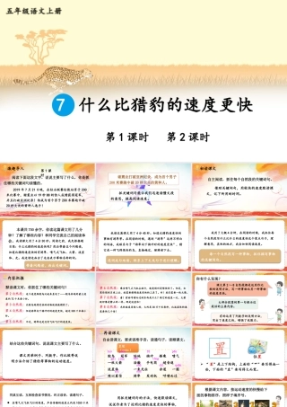 24统编版小学语文五年级上册第二单元7 什么比猎豹的速度更快课件