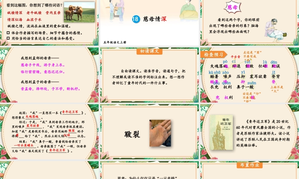 24统编版小学语文五年级上册第六单元18 慈母情深课件