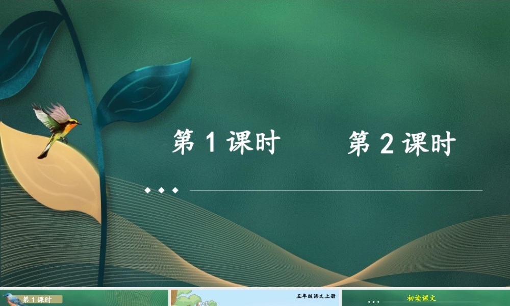 24统编版小学语文五年级上册第七单元22 鸟的天堂课件