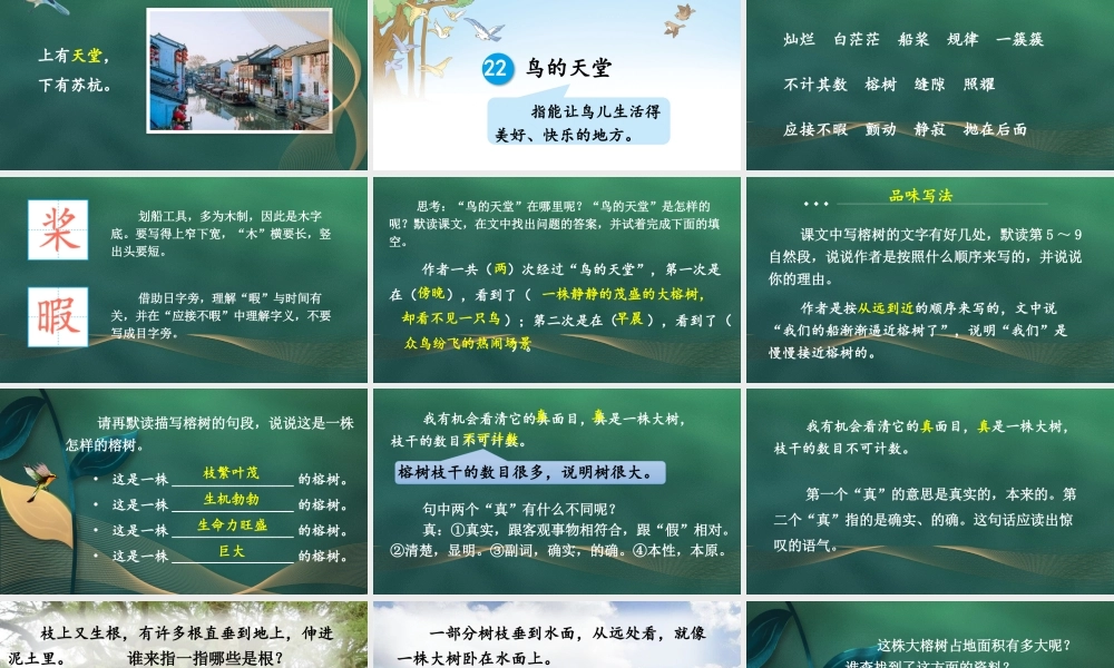 24统编版小学语文五年级上册第七单元22 鸟的天堂课件