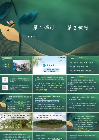 24统编版小学语文五年级上册第七单元22 鸟的天堂课件