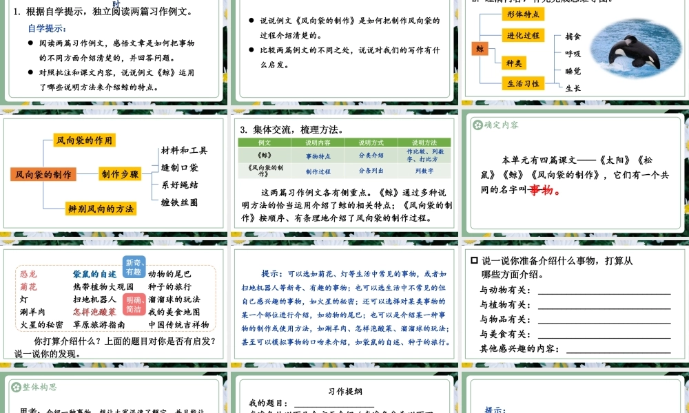 24统编版小学语文五年级上册第五单元习作例文与习作 课件