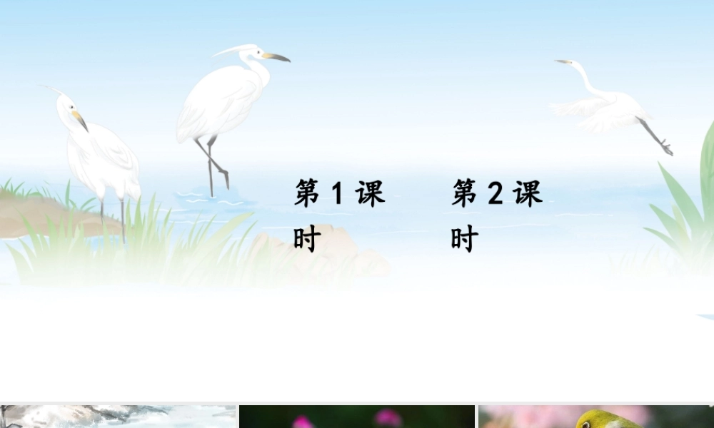 24统编版小学语文五年级上册第一单元1 白鹭课件