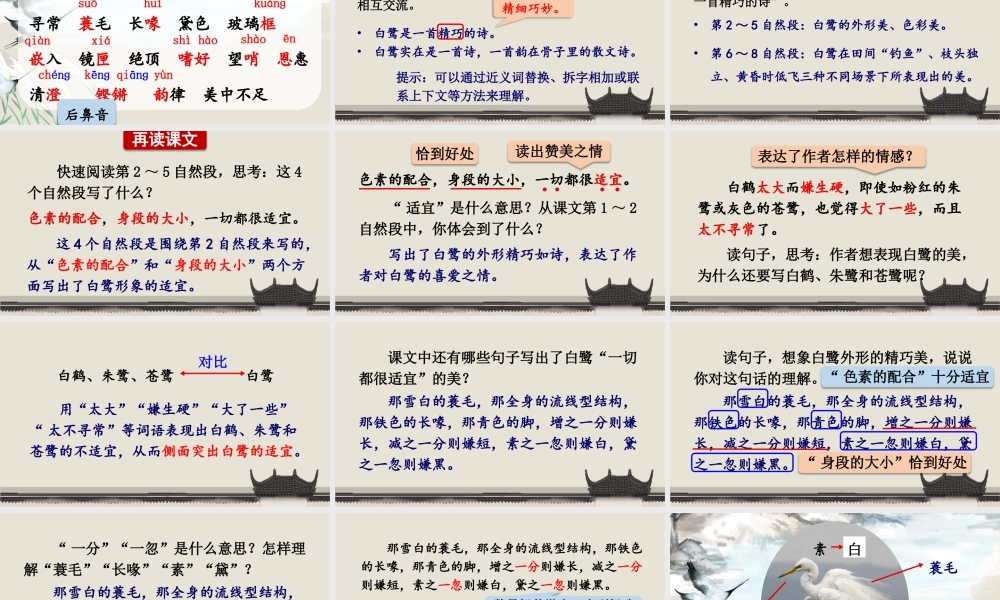 24统编版小学语文五年级上册第一单元1 白鹭课件