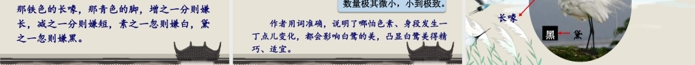 24统编版小学语文五年级上册第一单元1 白鹭课件