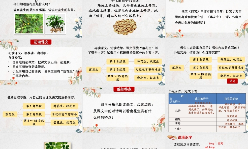 24统编版小学语文五年级上册第一单元2 落花生课件