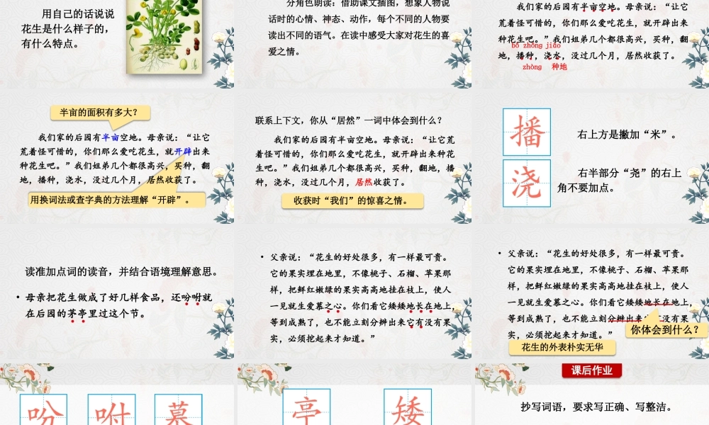 24统编版小学语文五年级上册第一单元2 落花生课件