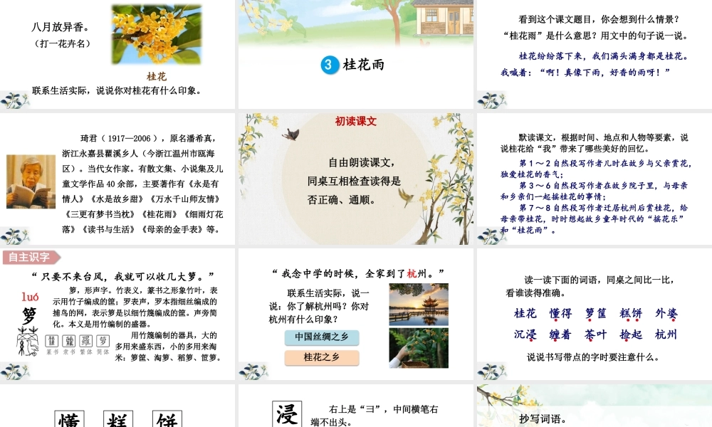 24统编版小学语文五年级上册第一单元3 桂花雨课件