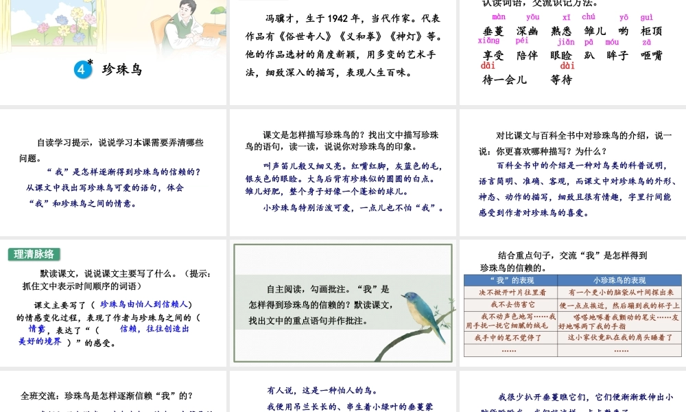 24统编版小学语文五年级上册第一单元4 珍珠鸟课件