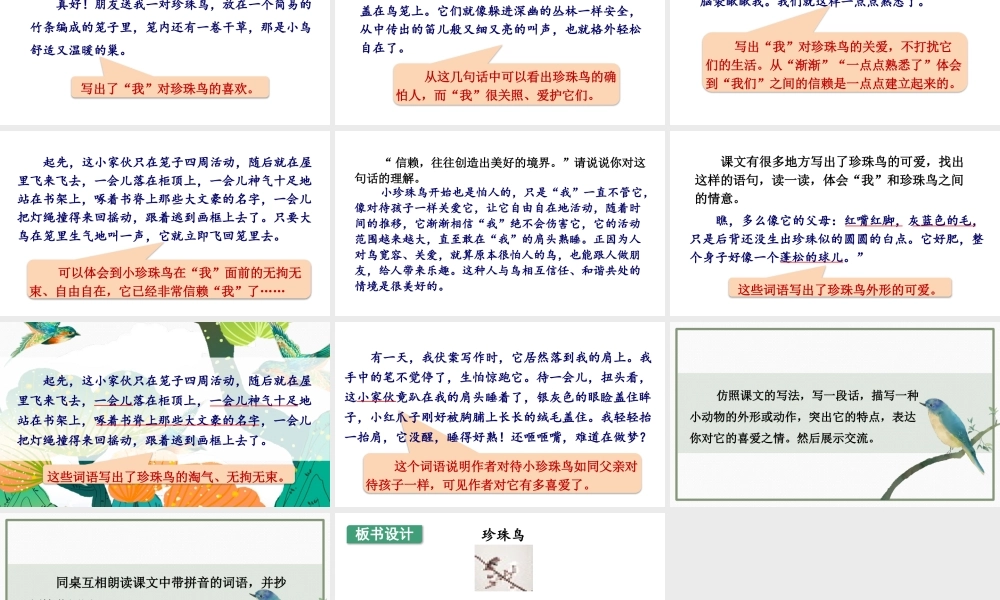24统编版小学语文五年级上册第一单元4 珍珠鸟课件