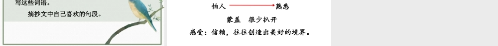 24统编版小学语文五年级上册第一单元4 珍珠鸟课件
