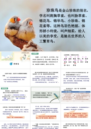 24统编版小学语文五年级上册第一单元4 珍珠鸟课件