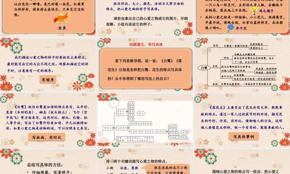 24统编版小学语文五年级上册第一单元习作：我的心爱之物课件
